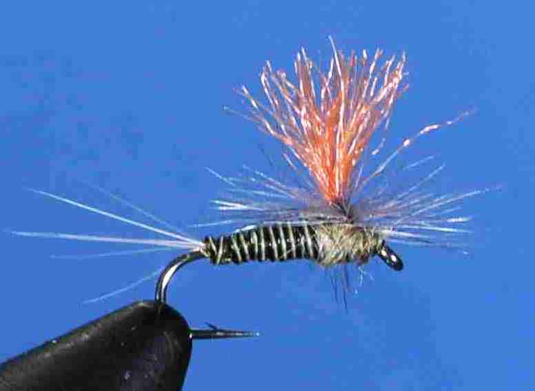 J21-05HQBW product image