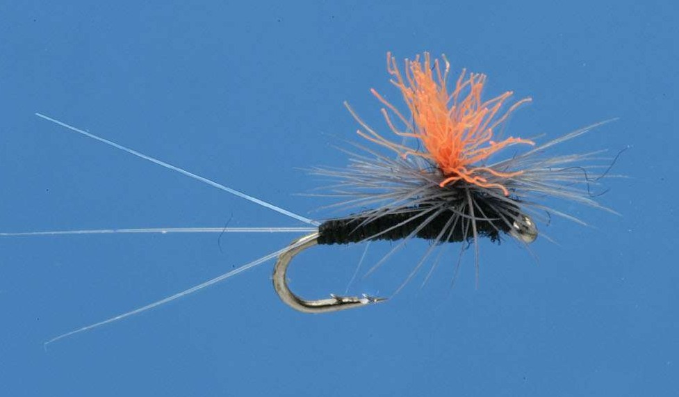 J21-05HQTM product image