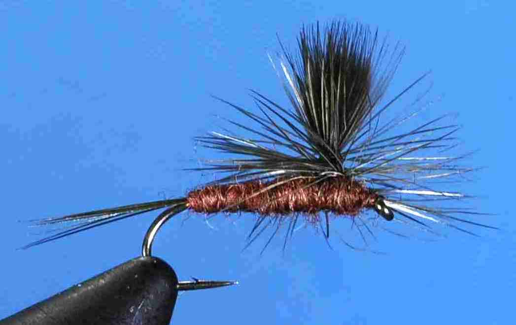 J21-05MHDN product image