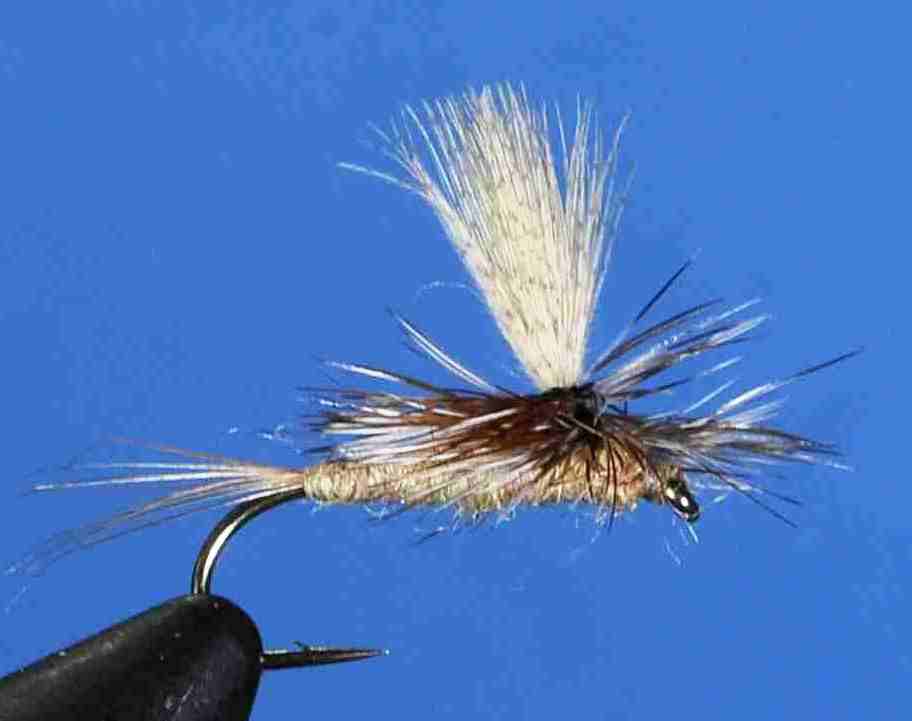 J21-05MRBN product image