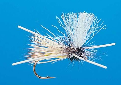 J21-05MXCH product image