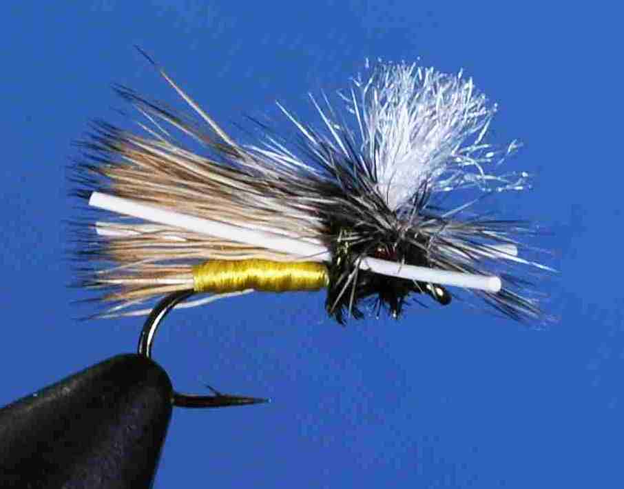 J21-05MXYL product image