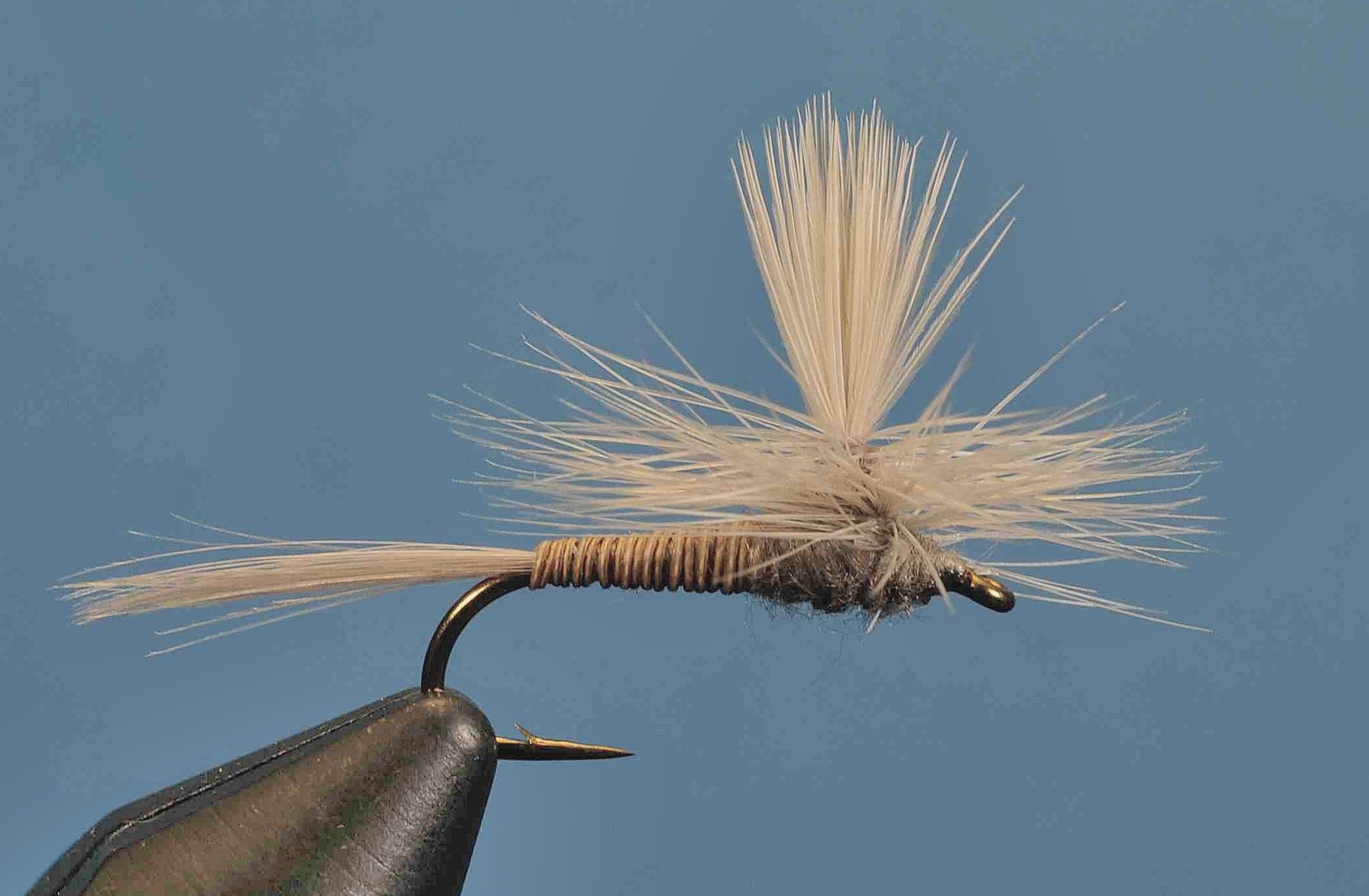 J21-05PQGR product image