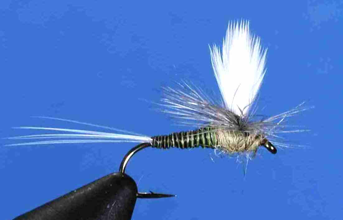 J21-05QBWO product image