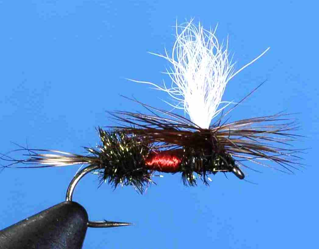 J21-05ROYL product image