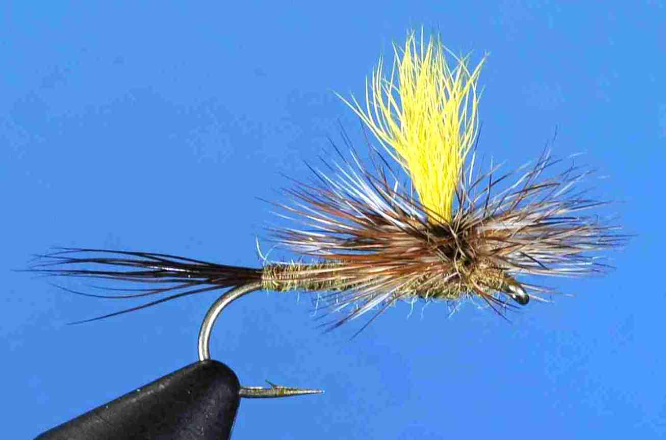 J21-05RPDN product image