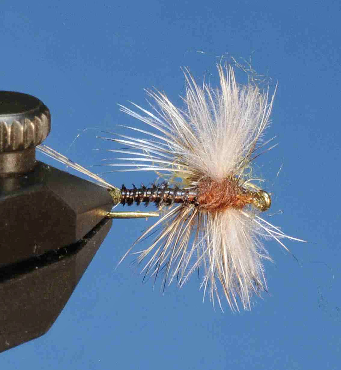 J21-05SPBR product image