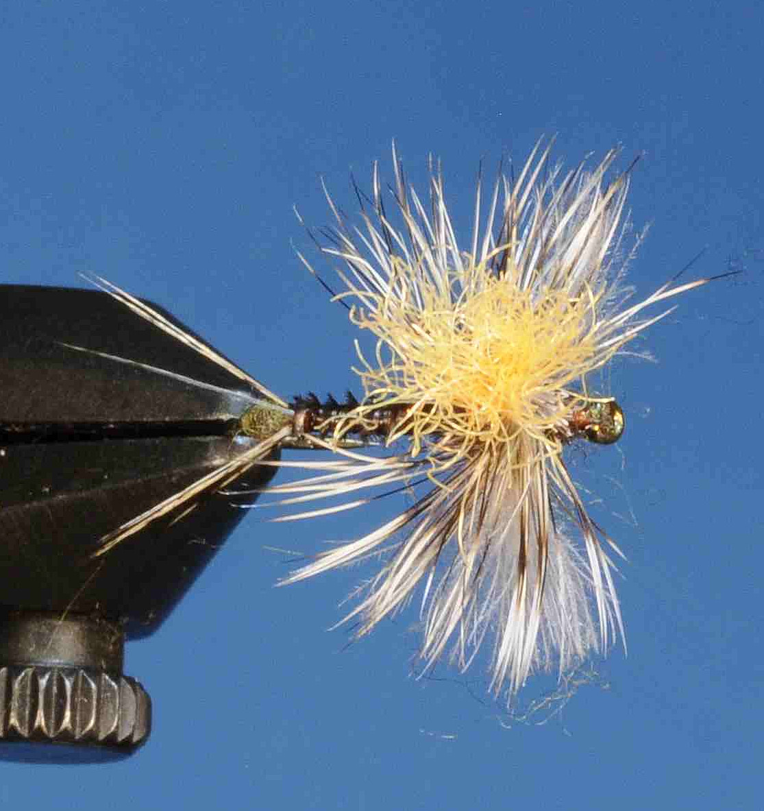 J21-05SPBR product image