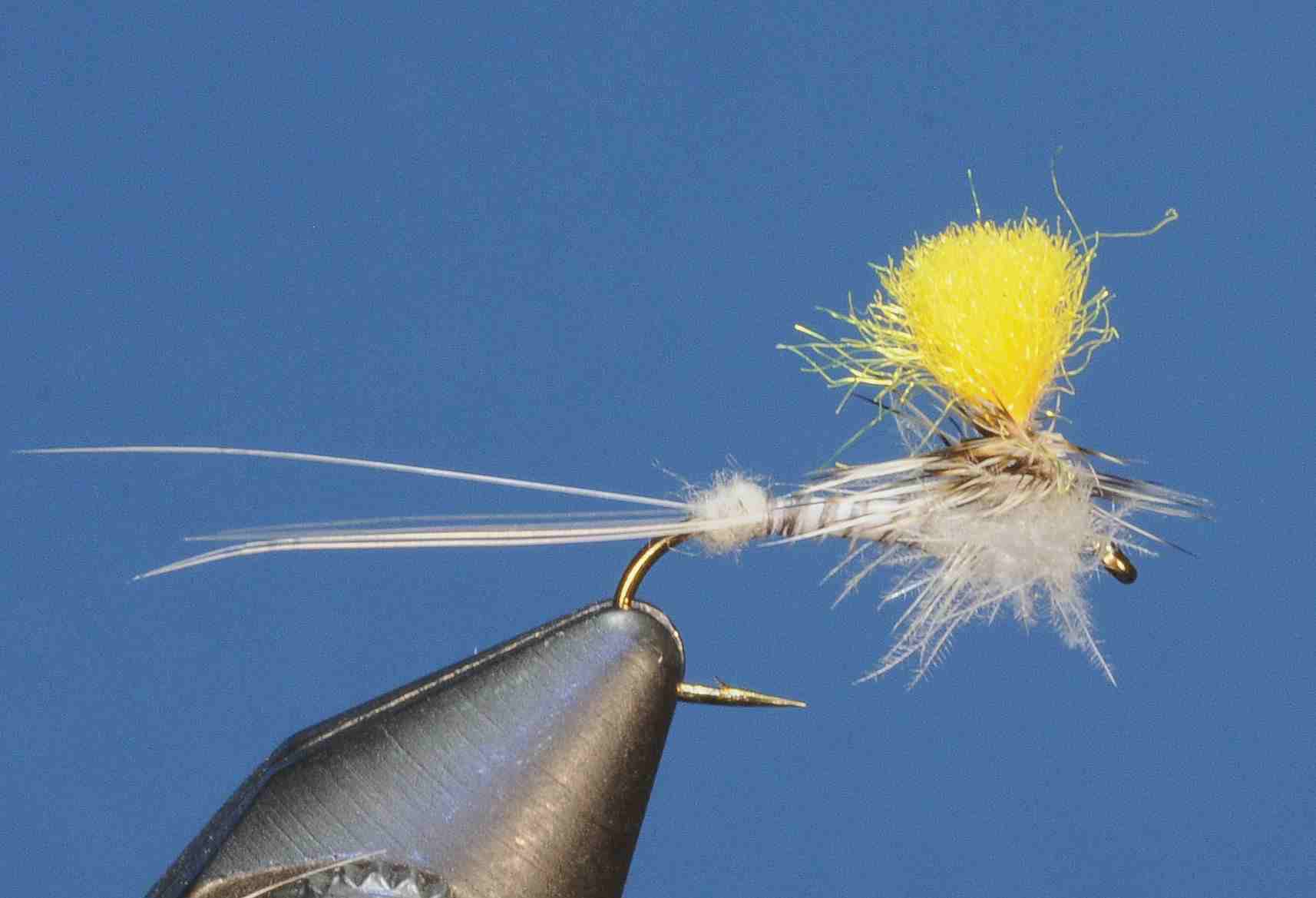 J21-05SPCB product image