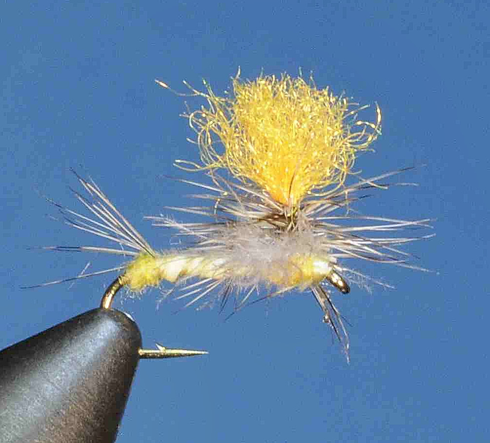 J21-05SPPD product image