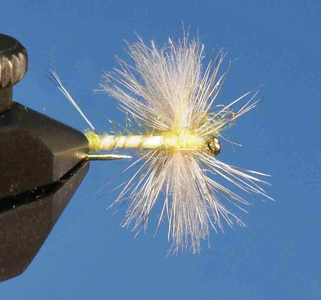 J21-05SPPD product image