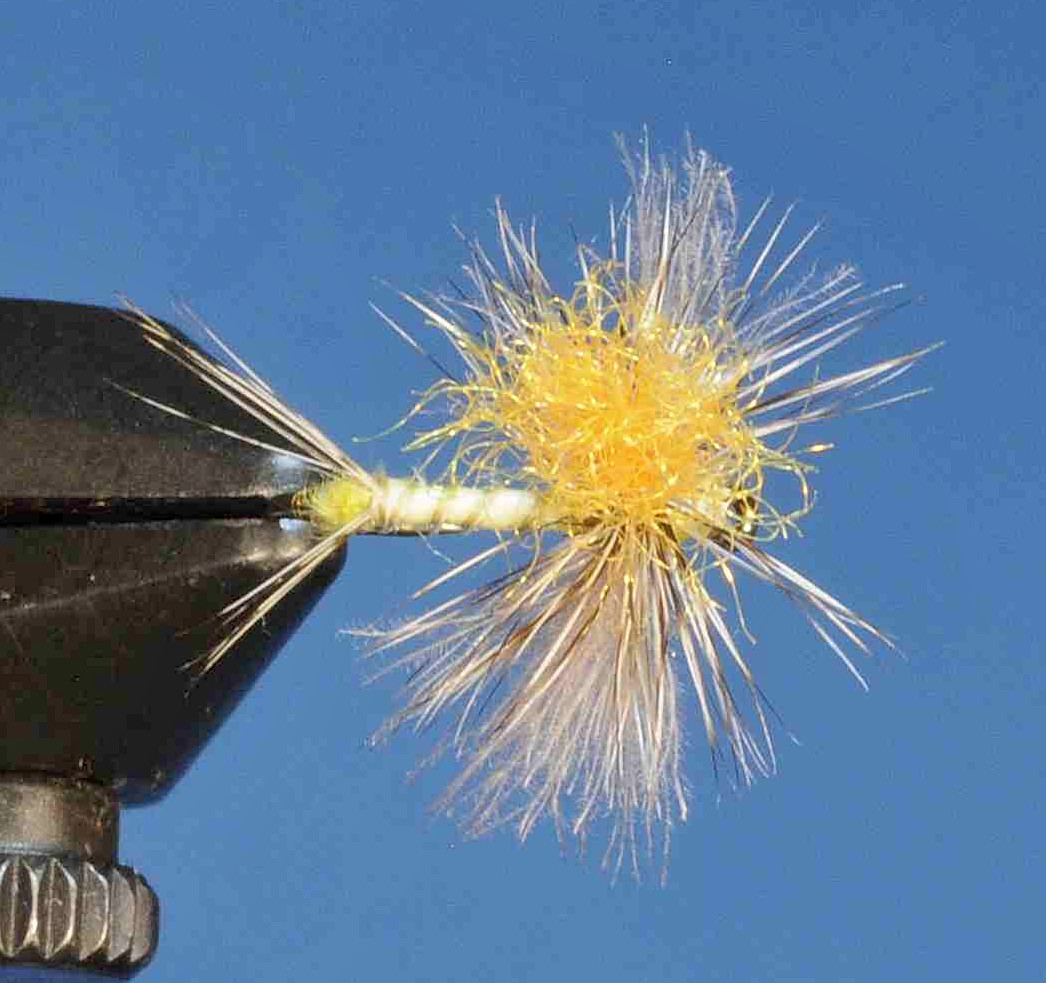 J21-05SPPD product image