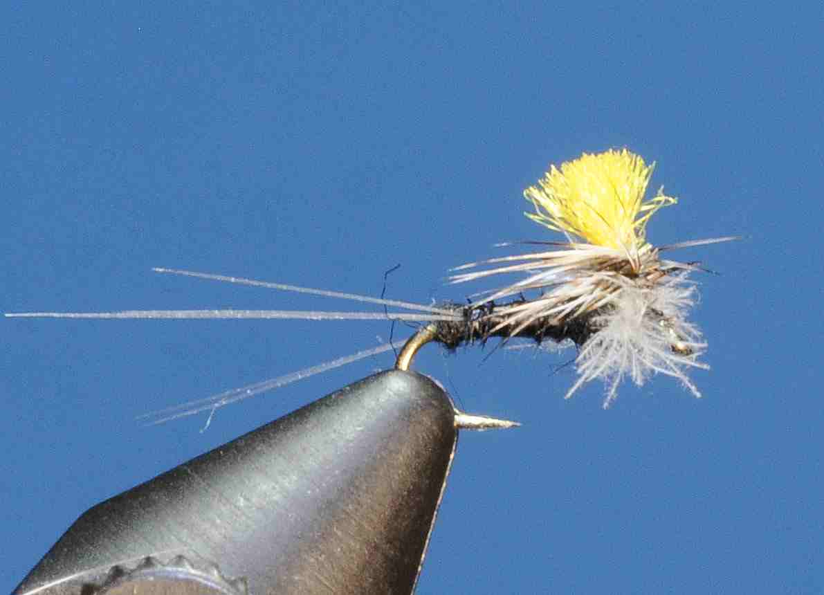 J21-05SPTC product image