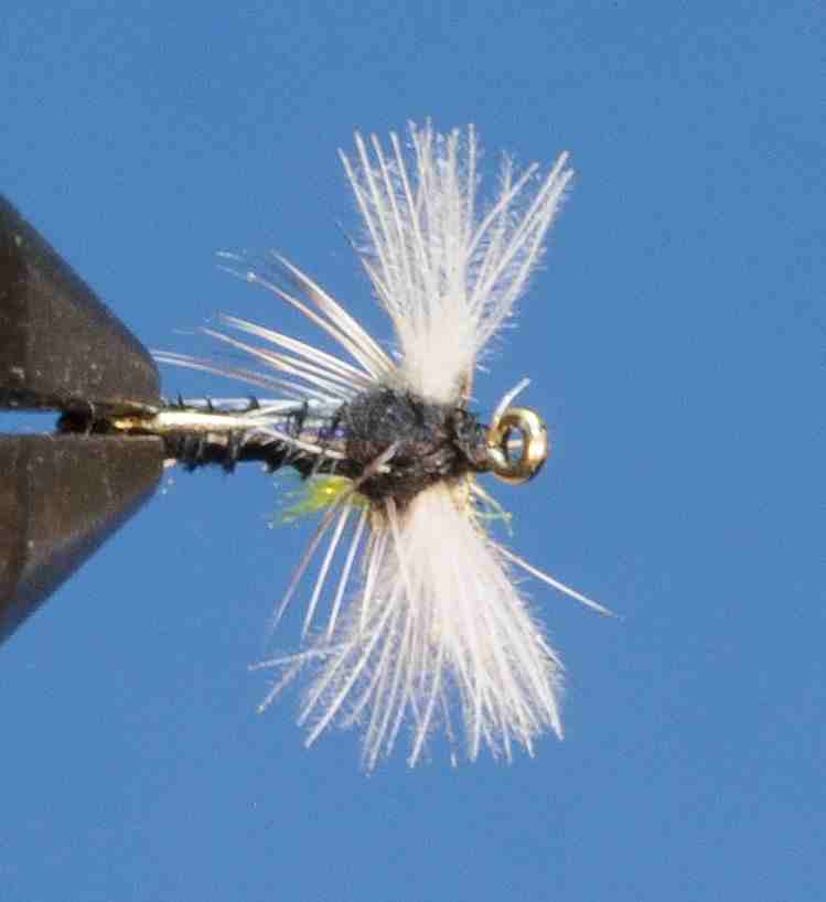 J21-05SPTC product image