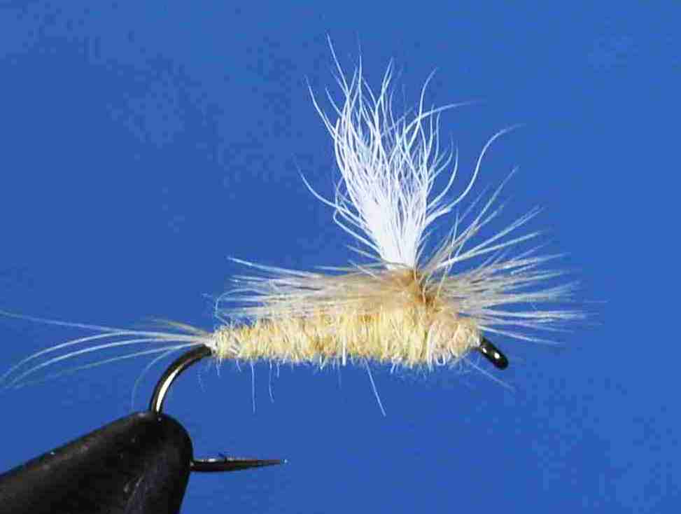 J21-05SUDN product image