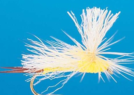 J21-05YLST product image