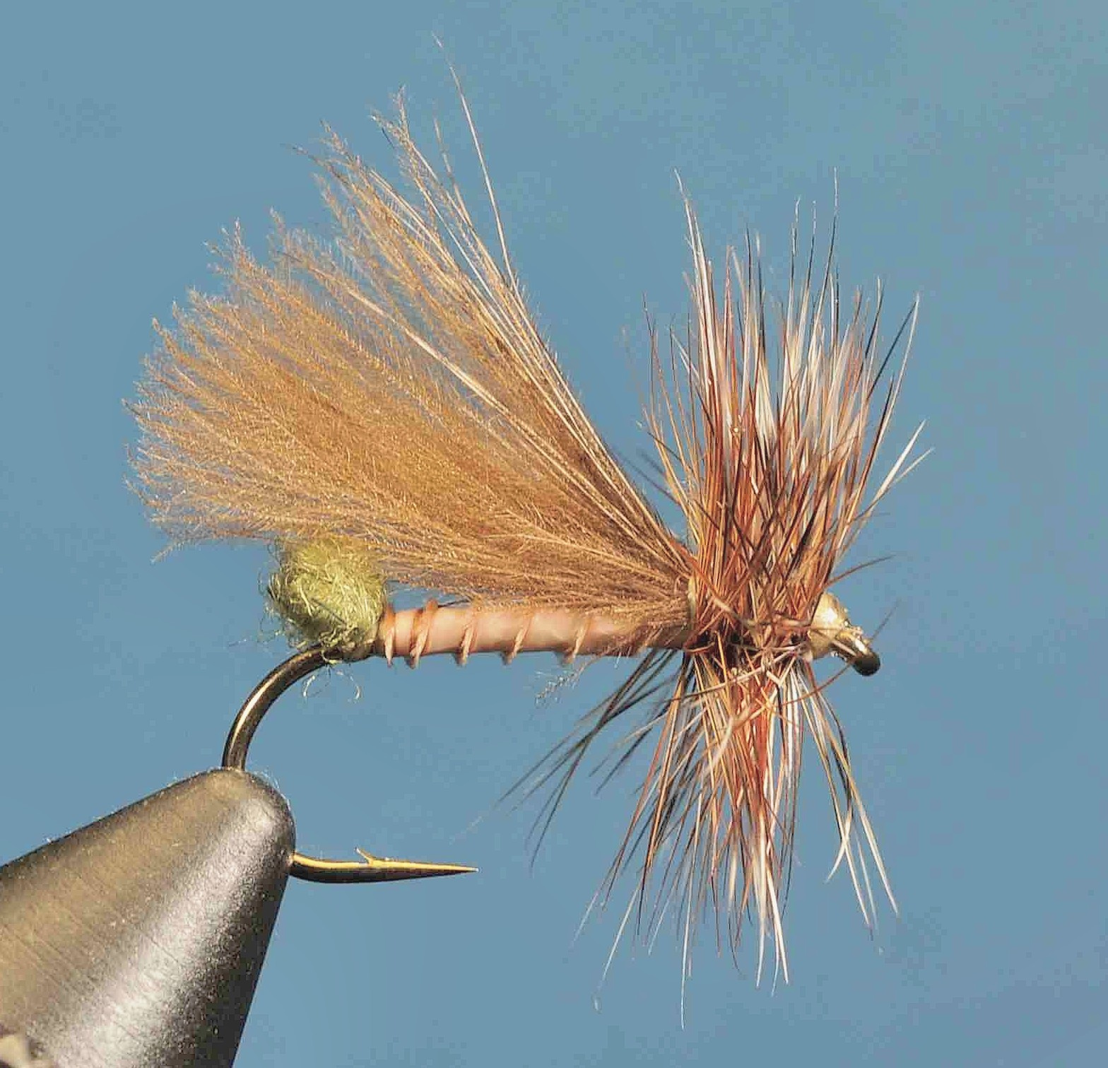 J21-06CWET product image