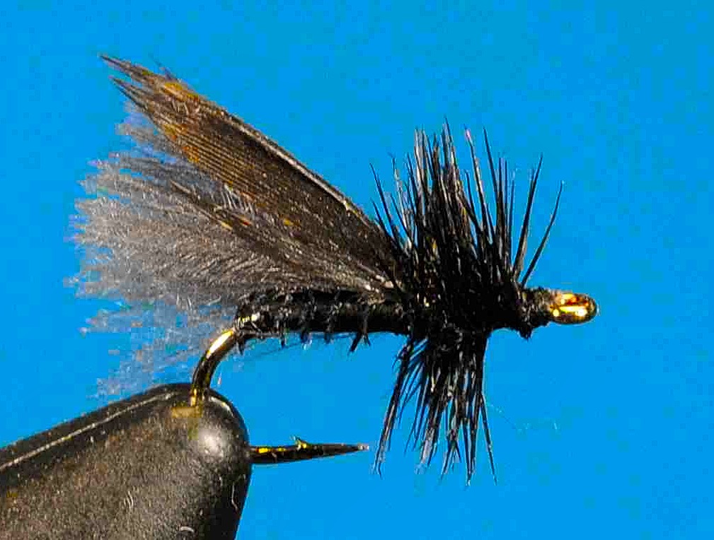 J21-06CWHB product image