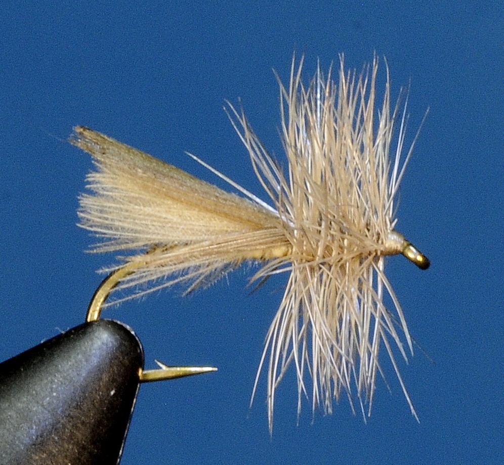 J21-06CWHD product image