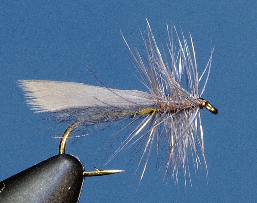 J21-06CWHG product image