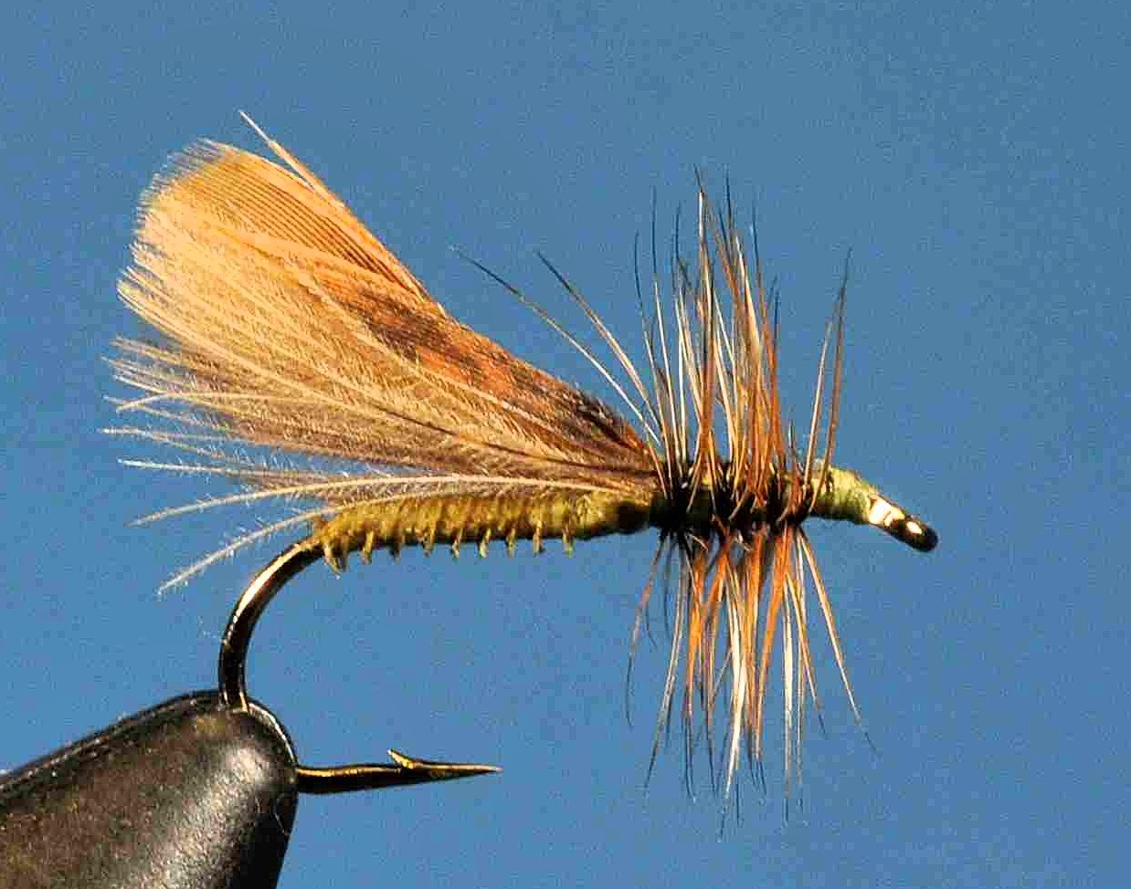 J21-06CWHO product image