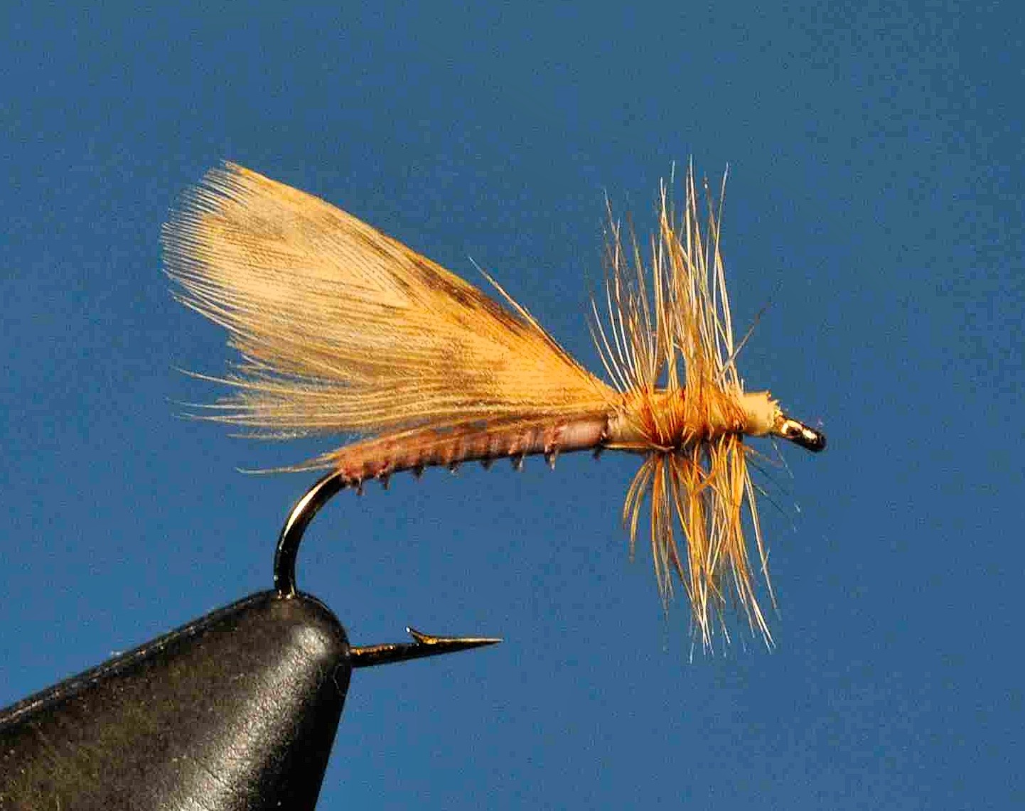 J21-06CWHT product image