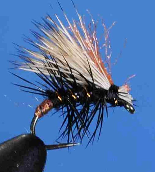 J21-06ECBK product image