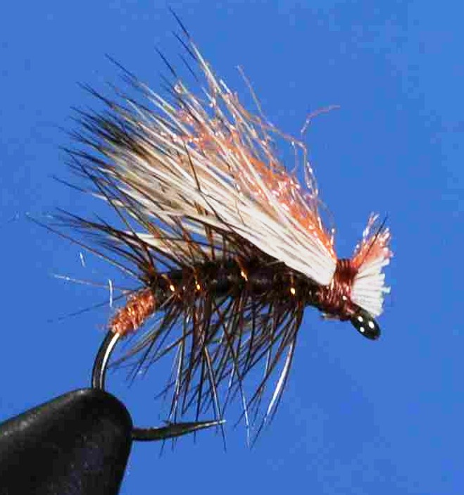 J21-06ECBN product image