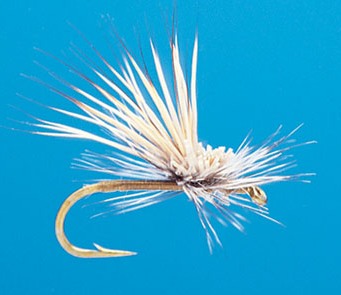 J21-06HTCC product image