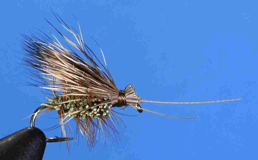 J21-06IROL product image