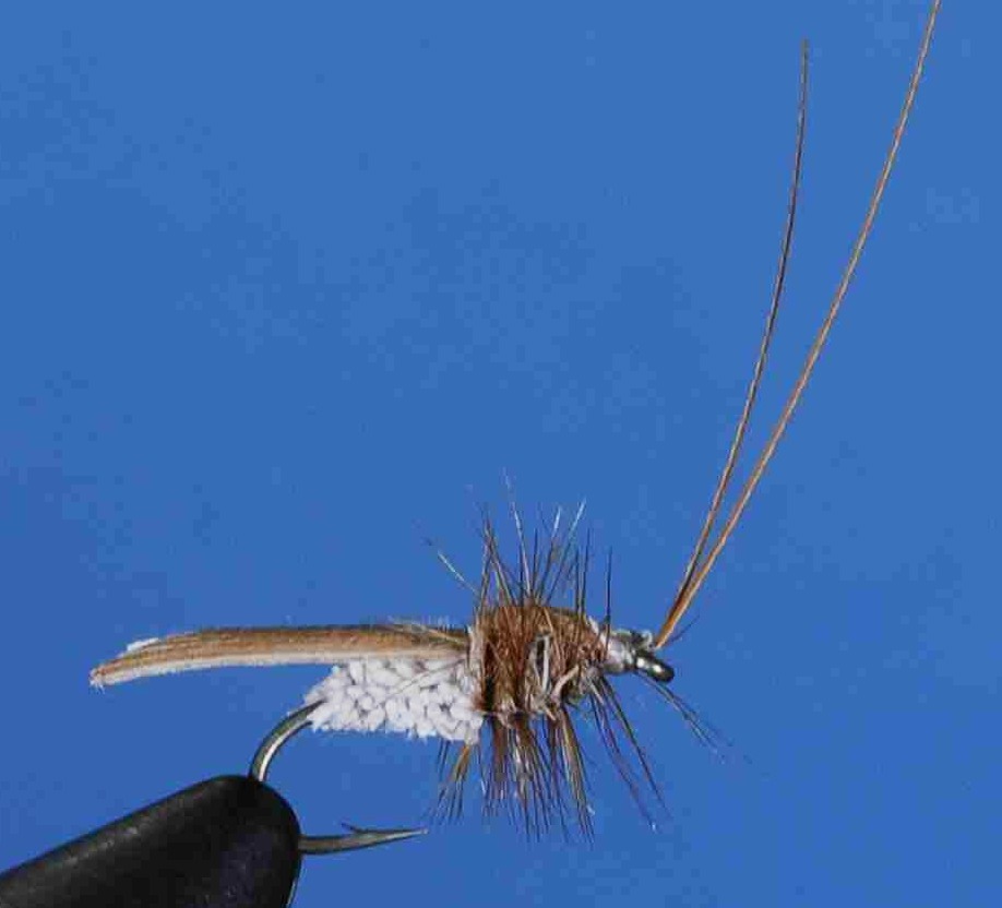 J21-06IRTN product image