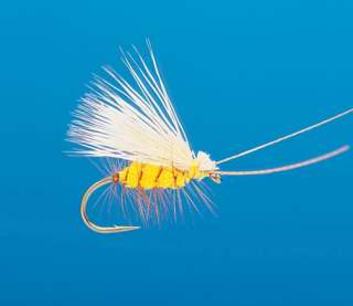 J21-06IRYL product image