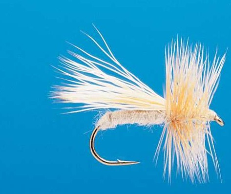 J21-06LTCM product image