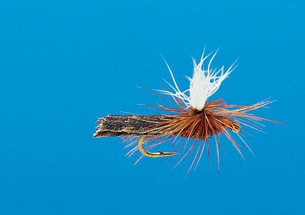 J21-06PRBN product image