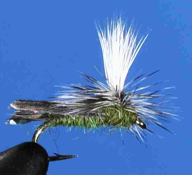 J21-06PROL product image