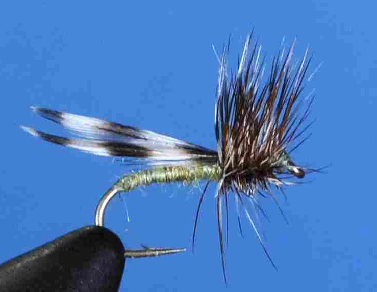 J21-06RCOL product image