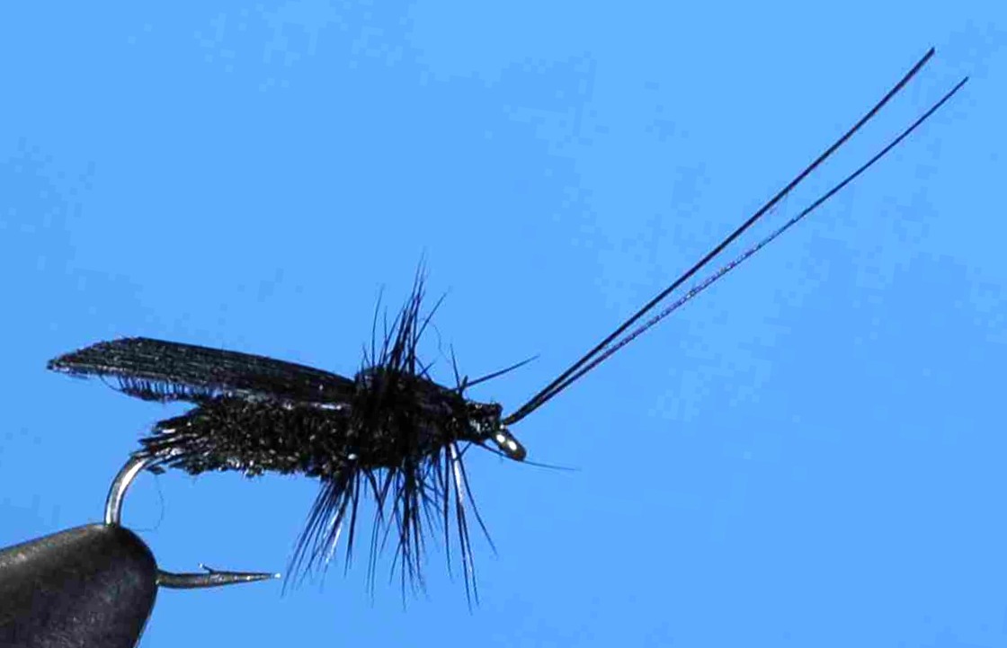 J21-06RKBK product image