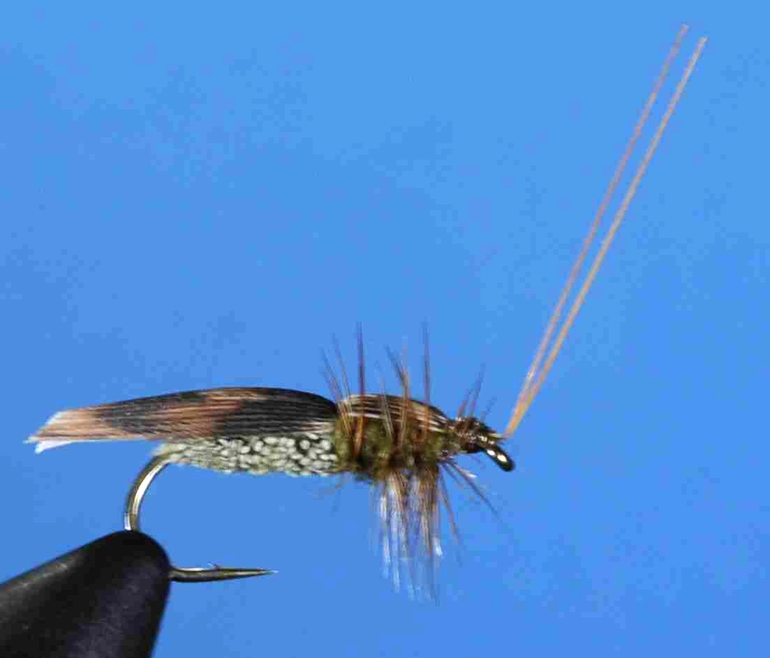 J21-06RKOL product image