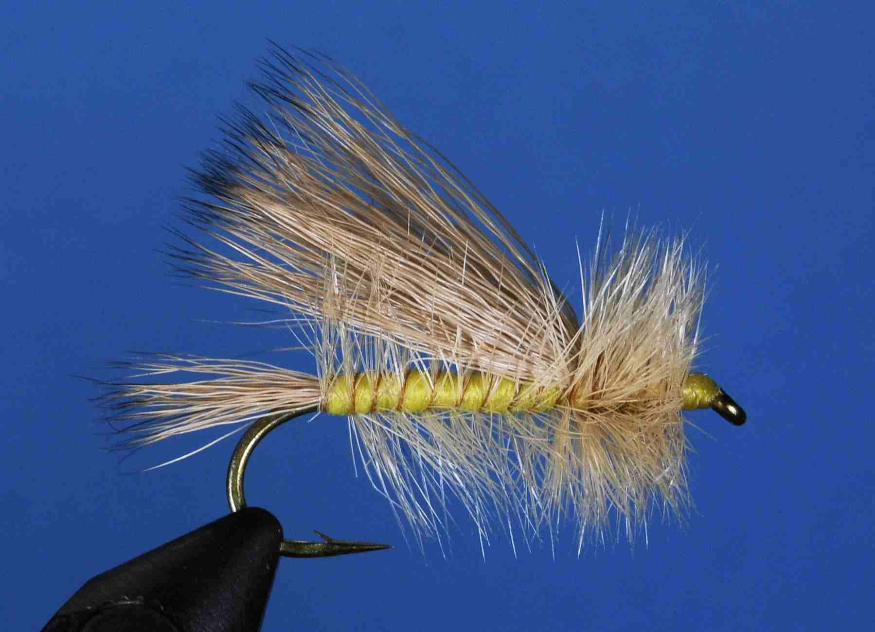 J21-07IMGS product image