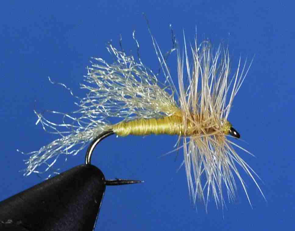 J21-07LYLS product image