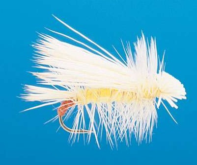 J21-07LYSF product image