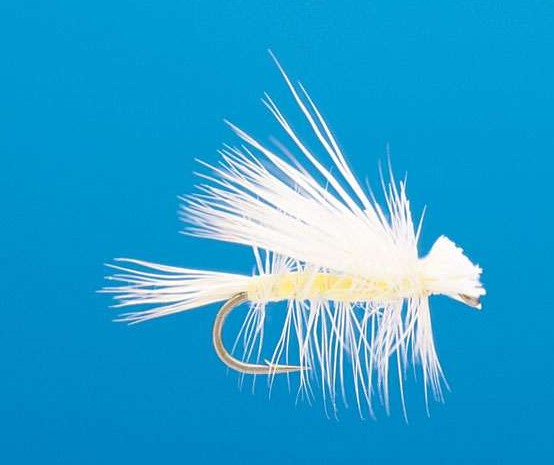 J21-07LYSM product image