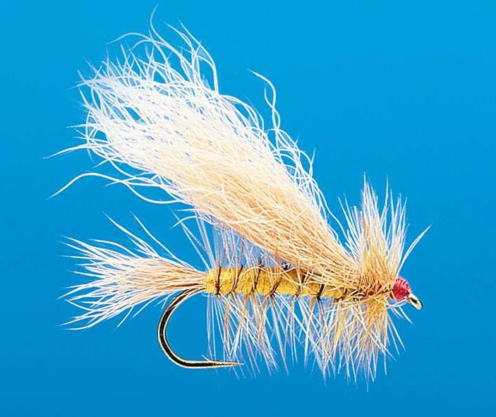 J21-07NWSP product image