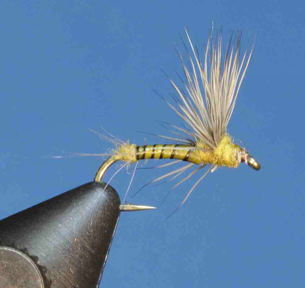 J21-08BCBW product image