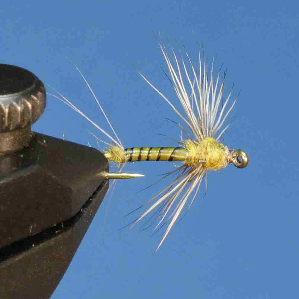 J21-08BCBW product image