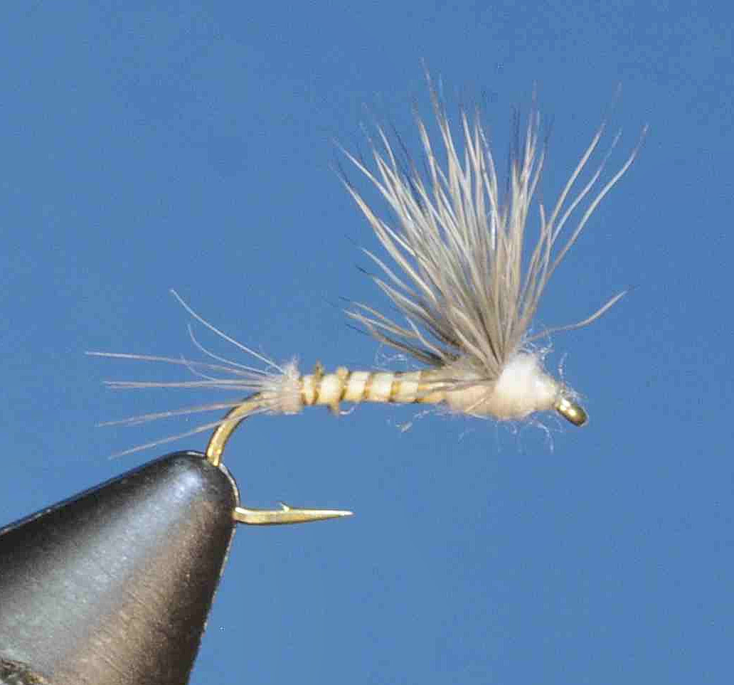 J21-08BCCL product image