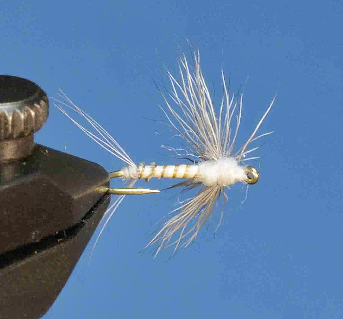 J21-08BCCL product image