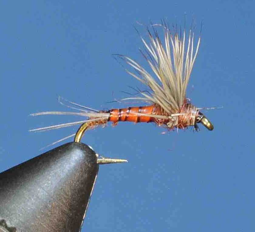 J21-08BCMA product image