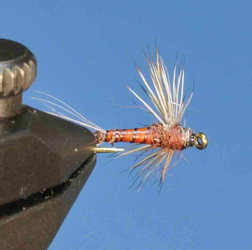 J21-08BCMA product image