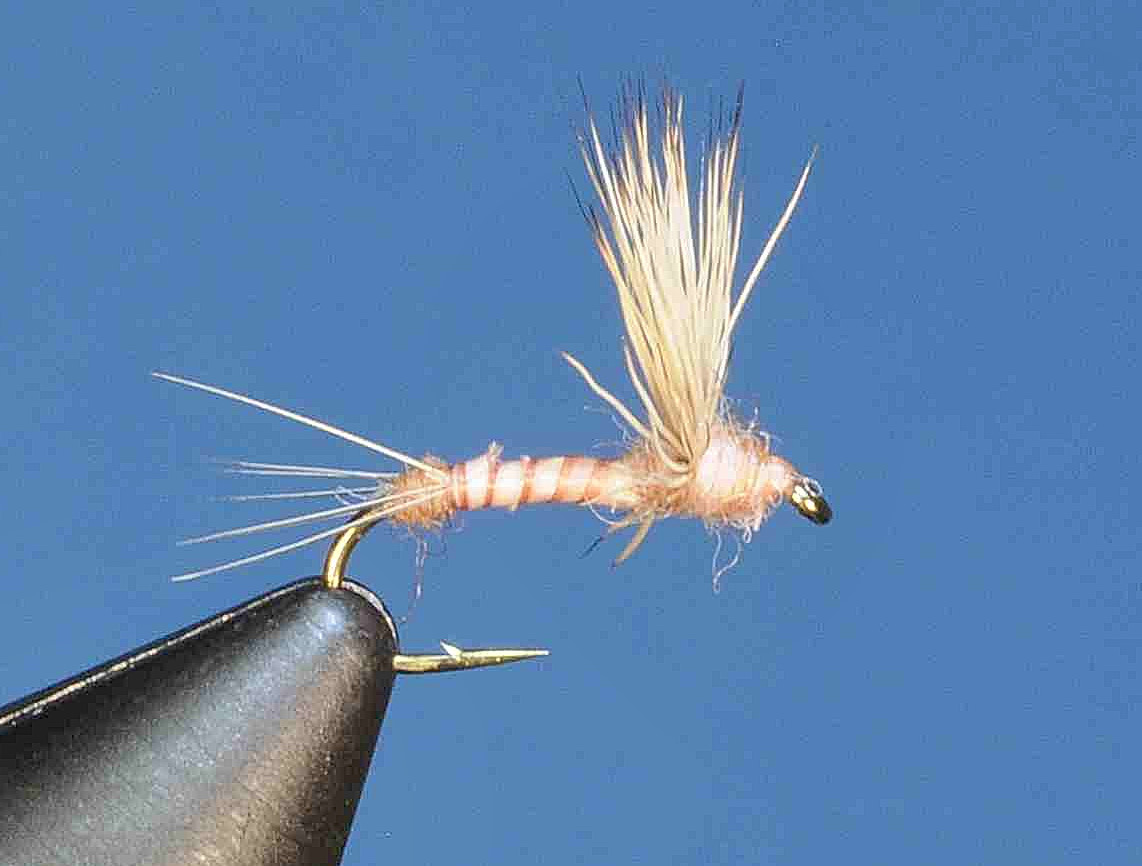 J21-08BCPC product image